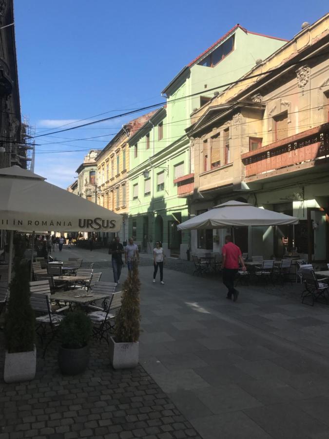 Savoya Nr3 Studio Old City Center Self Check-In Timişoara Buitenkant foto