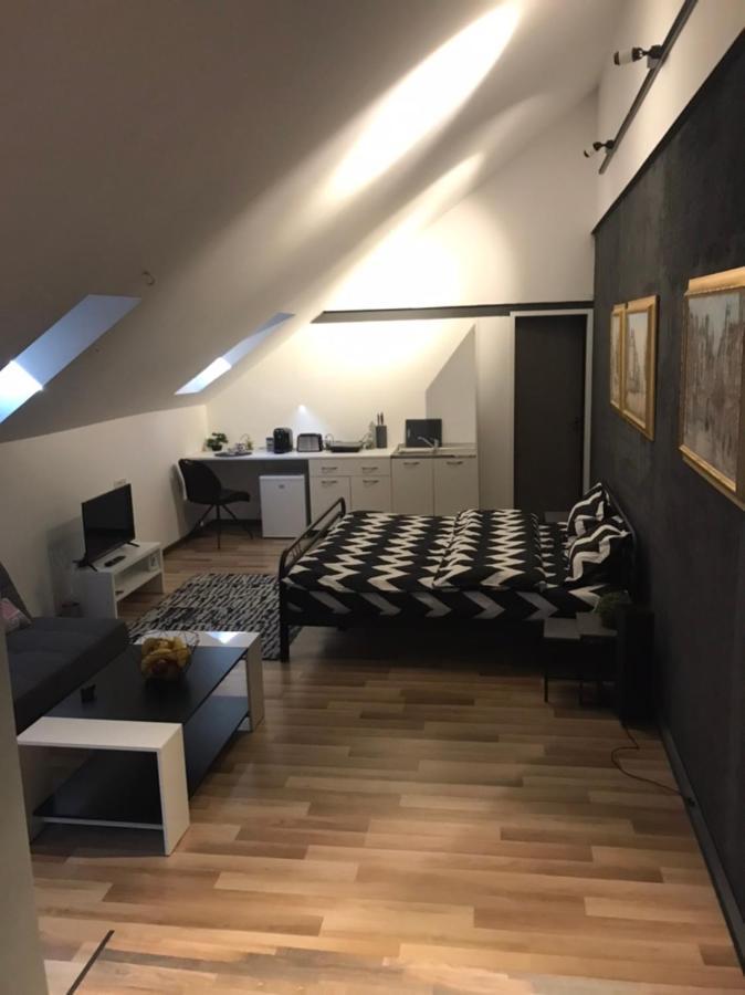 Savoya Nr3 Studio Old City Center Self Check-In Timişoara Buitenkant foto